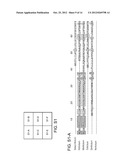 ENHANCEMENT OF REGENERATION BY MODULATION OF NOTUM ACTIVITY diagram and image