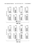 METHODS AND COMPOSITIONS FOR MODULATING TWEAK AND FN14 ACTIVITY diagram and image