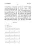 METHODS AND COMPOSITIONS FOR MODULATING TWEAK AND FN14 ACTIVITY diagram and image