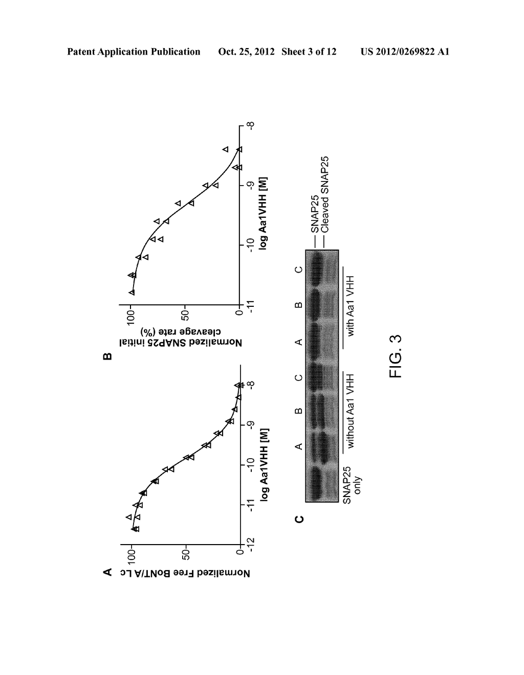 Anti-Botulinum Neurotoxin a Single Domain Antibody Antibodies - diagram, schematic, and image 04