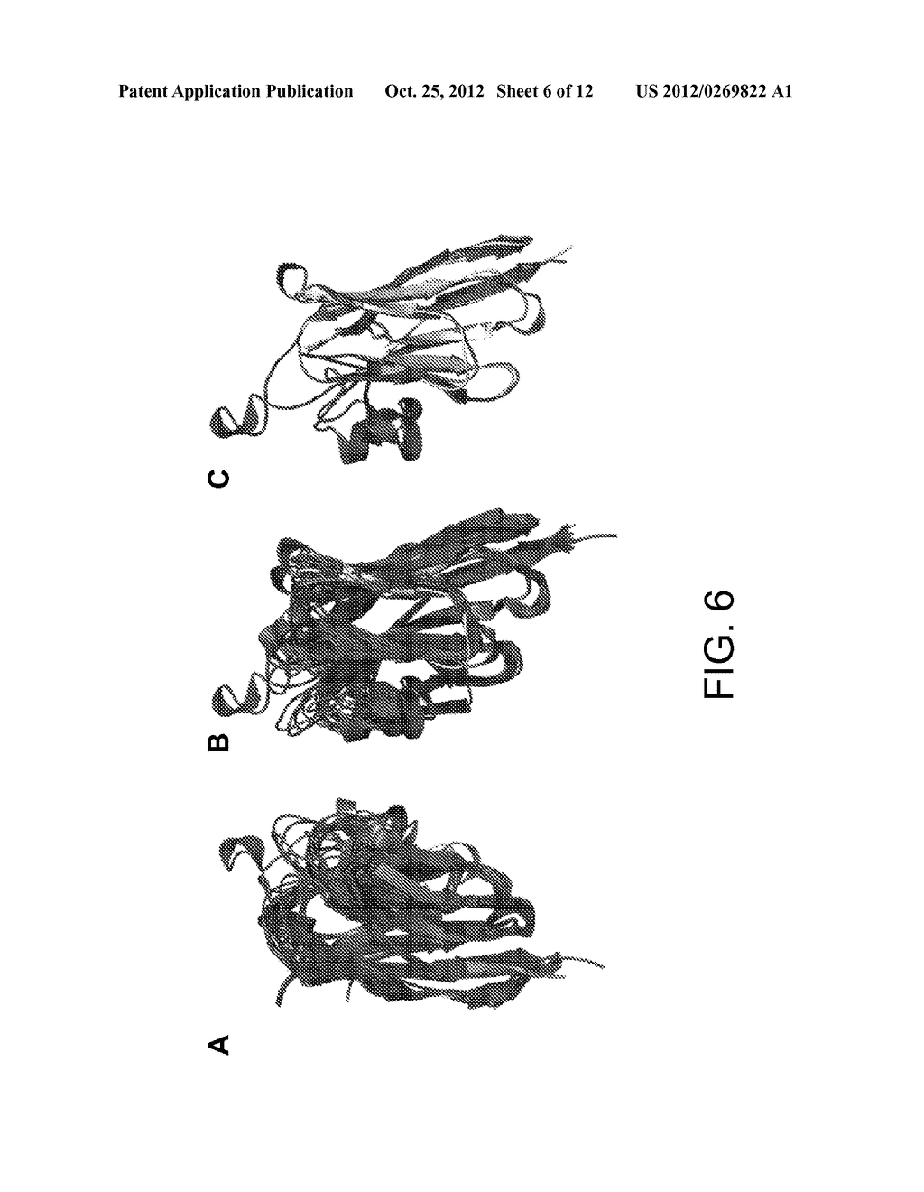 Anti-Botulinum Neurotoxin a Single Domain Antibody Antibodies - diagram, schematic, and image 07