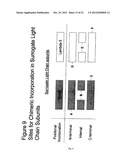 CONJUGATES WITH IMPROVED PHARMACOKINETIC PROPERTIES diagram and image