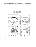 SUBSTANCE BINDING HUMAN IgG Fc RECEPTOR IIb (FcgammaRIIb) diagram and image