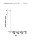 ENTEROTOXIGENIC E. COLI FUSION PROTEIN VACCINES diagram and image