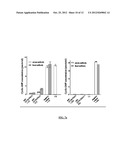 ENTEROTOXIGENIC E. COLI FUSION PROTEIN VACCINES diagram and image