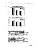 S. EPIDERMIDIS ANTIGENS diagram and image