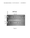 S. EPIDERMIDIS ANTIGENS diagram and image