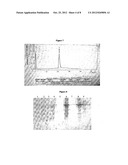 STABLE IMMUNOGENIC PROTEIN HAVING MULTIPLE CYSTEINES MOLECULES PROCESS     THEREFOR  AND COMPOSITION THEREOF diagram and image