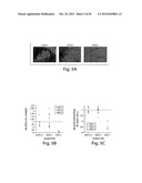 METHODS AND COMPOSITIONS FOR REGULATING LYMPHOCYTE ACTIVITY diagram and image