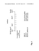 THERAPEUTIC AGENT FOR PULMONARY FIBROSIS diagram and image