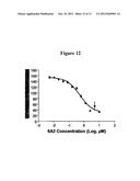 Methods and Compounds Useful to Induce Apoptosis in Cancer Cells diagram and image