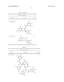 Methods and Compounds Useful to Induce Apoptosis in Cancer Cells diagram and image