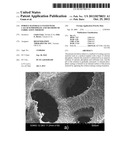 POROUS MATERIALS COATED WITH CALCIUM PHOSPHATE AND METHODS OF FABRICATION     THEREOF diagram and image