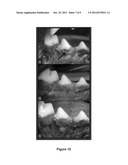 POROUS MATERIALS COATED WITH CALCIUM PHOSPHATE AND METHODS OF FABRICATION     THEREOF diagram and image