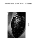 Liquid Battery Formed from Encapsulated Components diagram and image