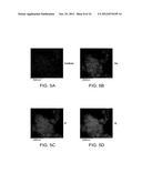 AMORPHOUS AND PARTIALLY AMORPHOUS NANOSCALE ION STORAGE MATERIALS diagram and image