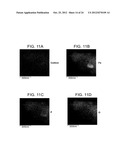 AMORPHOUS AND PARTIALLY AMORPHOUS NANOSCALE ION STORAGE MATERIALS diagram and image