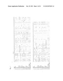 OLIGONUCLEOTIDE SEQUENCES THAT IDENTIFY SPECIES OF ANIMAL diagram and image