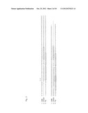 OLIGONUCLEOTIDE SEQUENCES THAT IDENTIFY SPECIES OF ANIMAL diagram and image