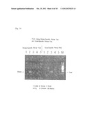 OLIGONUCLEOTIDE SEQUENCES THAT IDENTIFY SPECIES OF ANIMAL diagram and image