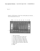 OLIGONUCLEOTIDE SEQUENCES THAT IDENTIFY SPECIES OF ANIMAL diagram and image