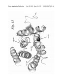 MUTANT G-PROTEIN COUPLED RECEPTORS AND METHODS FOR SELECTING THEM diagram and image