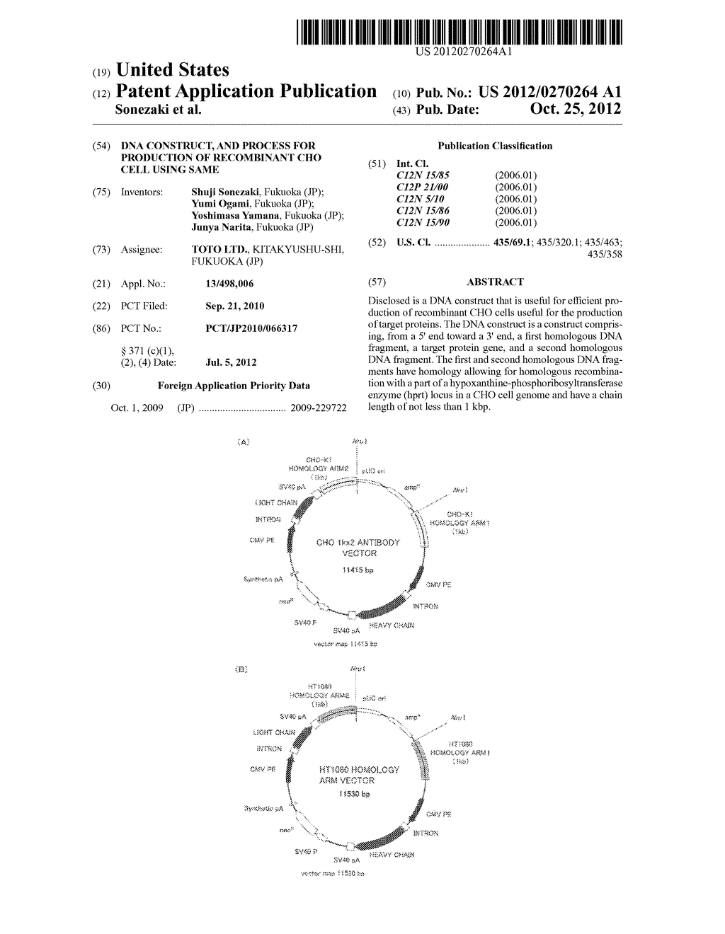 DNA CONSTRUCT, AND PROCESS FOR PRODUCTION OF RECOMBINANT CHO CELL USING     SAME - diagram, schematic, and image 01