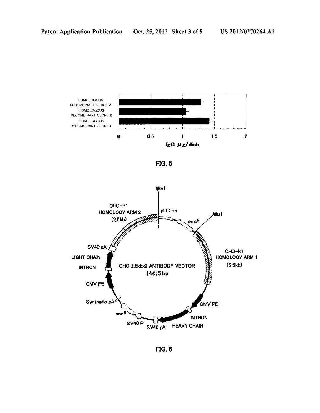 DNA CONSTRUCT, AND PROCESS FOR PRODUCTION OF RECOMBINANT CHO CELL USING     SAME - diagram, schematic, and image 04