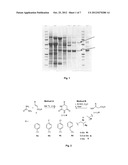 PREPARATION OF BETA-AMINO ACIDS diagram and image