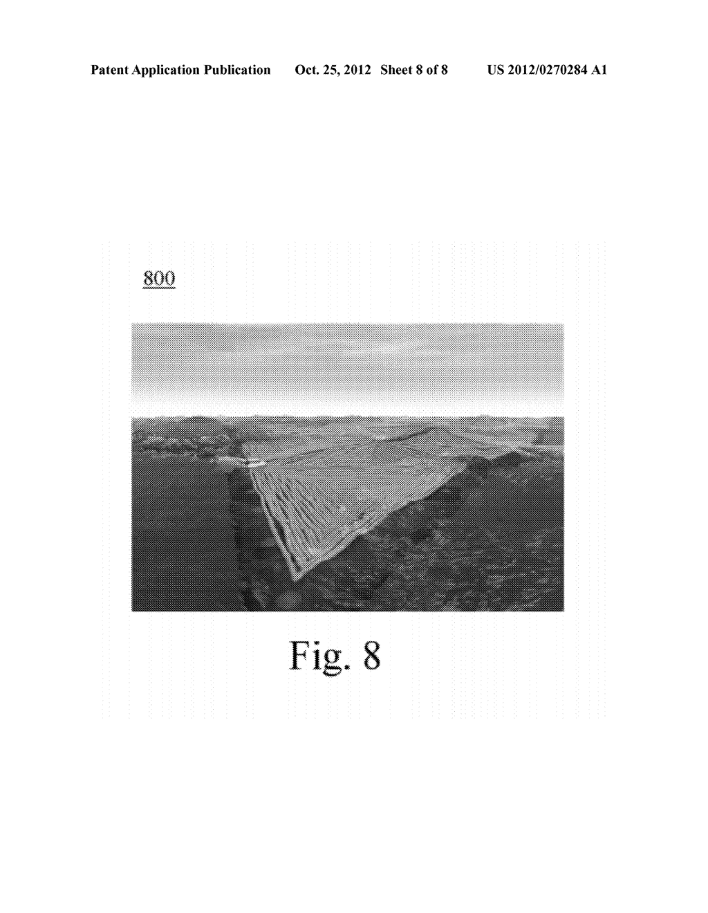 Method And System For Robotic Algae Harvest - diagram, schematic, and image 09