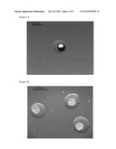 NESTED CELL ENCAPSULATION diagram and image