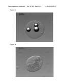 NESTED CELL ENCAPSULATION diagram and image