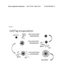 NESTED CELL ENCAPSULATION diagram and image