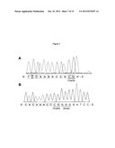 CULTURING AND GENETIC MANIPULATIONS OF THERMOTOGA SPP. diagram and image