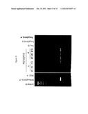 CULTURING AND GENETIC MANIPULATIONS OF THERMOTOGA SPP. diagram and image