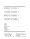 CULTURING AND GENETIC MANIPULATIONS OF THERMOTOGA SPP. diagram and image