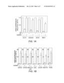 Compositions and Methods for Establishing and Maintaining Stem Cells in an     Undiffferentiated State diagram and image