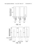 Compositions and Methods for Establishing and Maintaining Stem Cells in an     Undiffferentiated State diagram and image