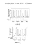 Compositions and Methods for Establishing and Maintaining Stem Cells in an     Undiffferentiated State diagram and image