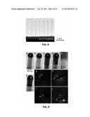 Stable and Metastable Nanowires Displaying Locally Controllable Properties diagram and image