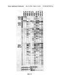 DRUG SELECTION FOR CANCER THERAPY BY PROFILING SIGNAL TRANSDUCTION     PROTEINS IN ASCITES OR PLEURAL EFFLUX SAMPLES diagram and image