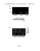 DRUG SELECTION FOR CANCER THERAPY BY PROFILING SIGNAL TRANSDUCTION     PROTEINS IN ASCITES OR PLEURAL EFFLUX SAMPLES diagram and image