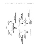 siRNA Targeting Diacylglycerol O-Acyltransferase Homolog 2 (DGAT2) diagram and image