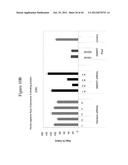 siRNA Targeting Diacylglycerol O-Acyltransferase Homolog 2 (DGAT2) diagram and image