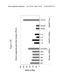 siRNA Targeting Diacylglycerol O-Acyltransferase Homolog 2 (DGAT2) diagram and image