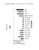 siRNA Targeting Diacylglycerol O-Acyltransferase Homolog 2 (DGAT2) diagram and image