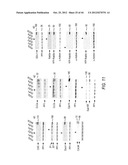 siRNA Targeting Diacylglycerol O-Acyltransferase Homolog 2 (DGAT2) diagram and image