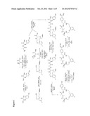 METHODS OF USING MACROCYCLIC INHIBITORS OF SERINE PROTEASE ENZYMES diagram and image