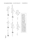 METHODS OF USING MACROCYCLIC INHIBITORS OF SERINE PROTEASE ENZYMES diagram and image