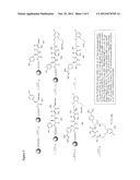 METHODS OF USING MACROCYCLIC INHIBITORS OF SERINE PROTEASE ENZYMES diagram and image